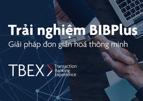experience-bibplus